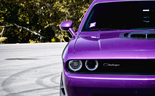 Purple car parking lot trees free wallpaper - medium preview image
