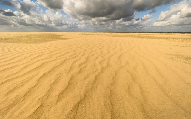 Desert clouds trees beach sunset free wallpaper - medium preview image