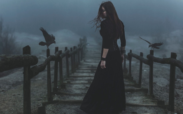 Woman black dress bridge birds free wallpaper - medium preview image