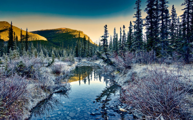 Sunset forest stream mountains bushes free wallpaper - medium preview image