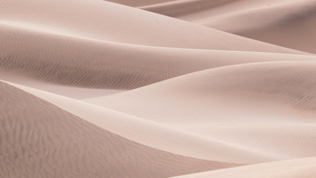 Desert sand dunes barren trees #2 free wallpaper - medium preview image