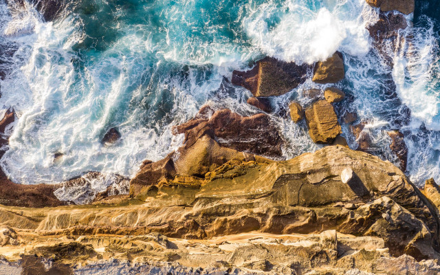 Bird rock ocean waves splashing free wallpaper - medium preview image