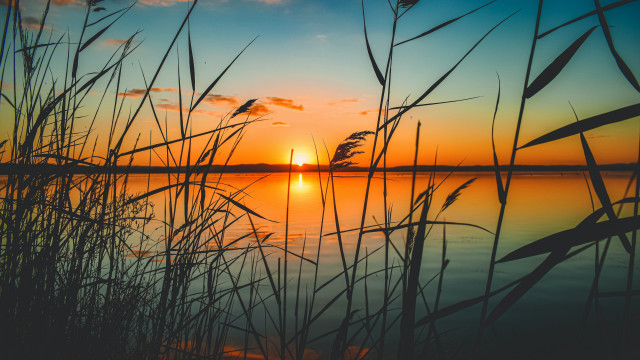 Sunset lake tallgrass orange sky free wallpaper - medium preview image