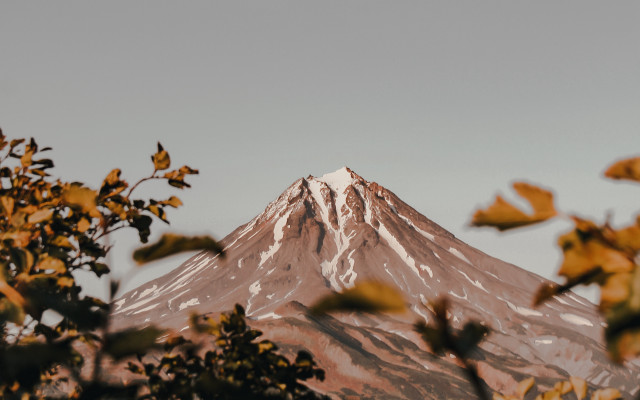Mountain snowcap forest autumn tiltshift free wallpaper - medium preview image