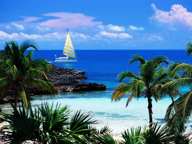 Sailboat ocean palm trees rocky #2 free wallpaper - medium preview image