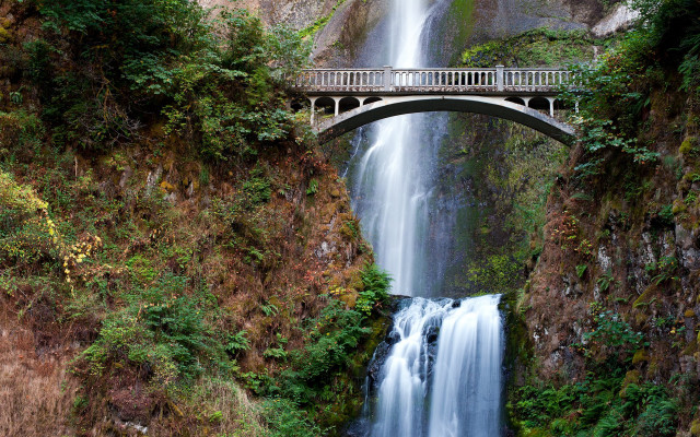 Bridge waterfall trees bushes nature free wallpaper - medium preview image