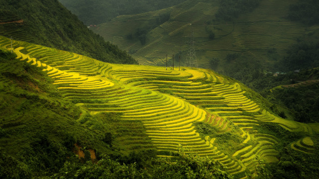 Green field mountain trees ecological free wallpaper - medium preview image