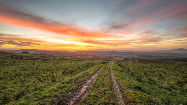 Sunset grassy field dirt road free wallpaper - medium preview image