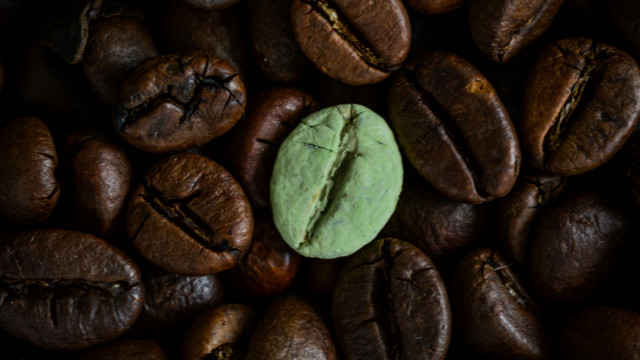 Green cookie coffee beans bug free wallpaper - medium preview image