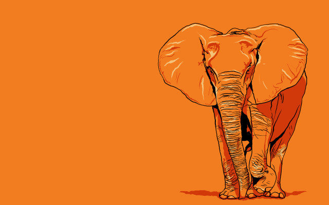 Elephant orange background black spot free wallpaper - medium preview image