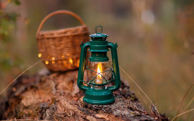 Green lantern tree stump basket free wallpaper - medium preview image