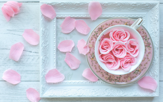 Pink rose petals still life free wallpaper - medium preview image