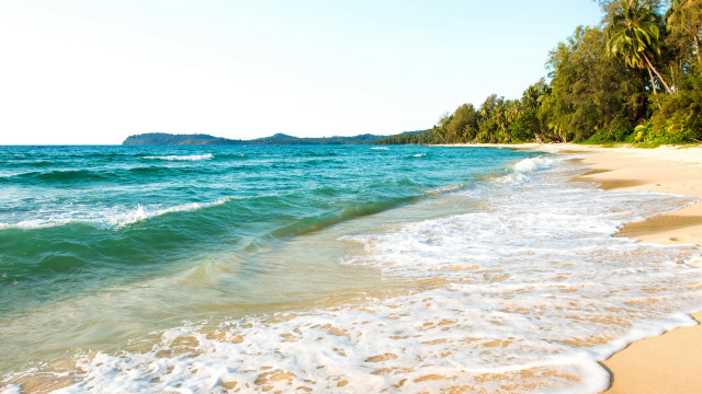 Australian impressionist beach mountain trees free wallpaper - medium preview image