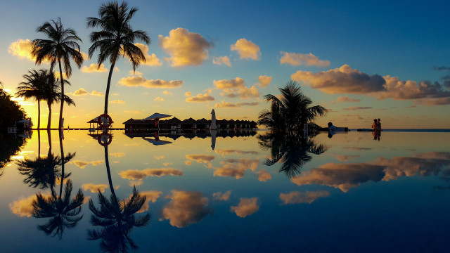 Sunset reflecting lake palm trees free wallpaper - medium preview image