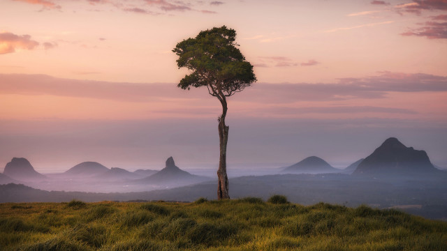 Lone tree grassy hill mountains #6 free wallpaper - medium preview image