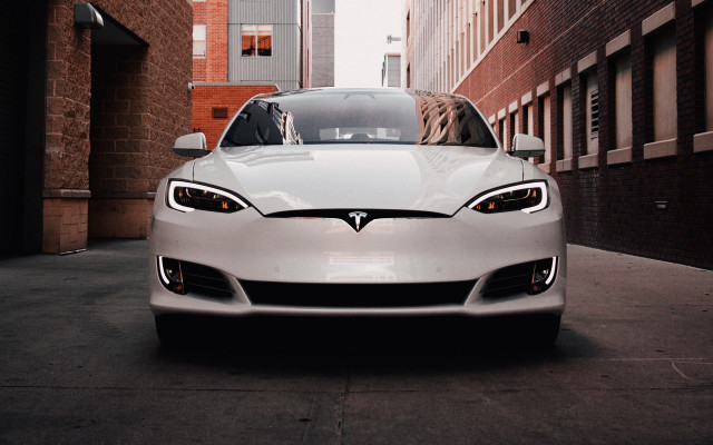 White car brick wall dog free wallpaper - medium preview image