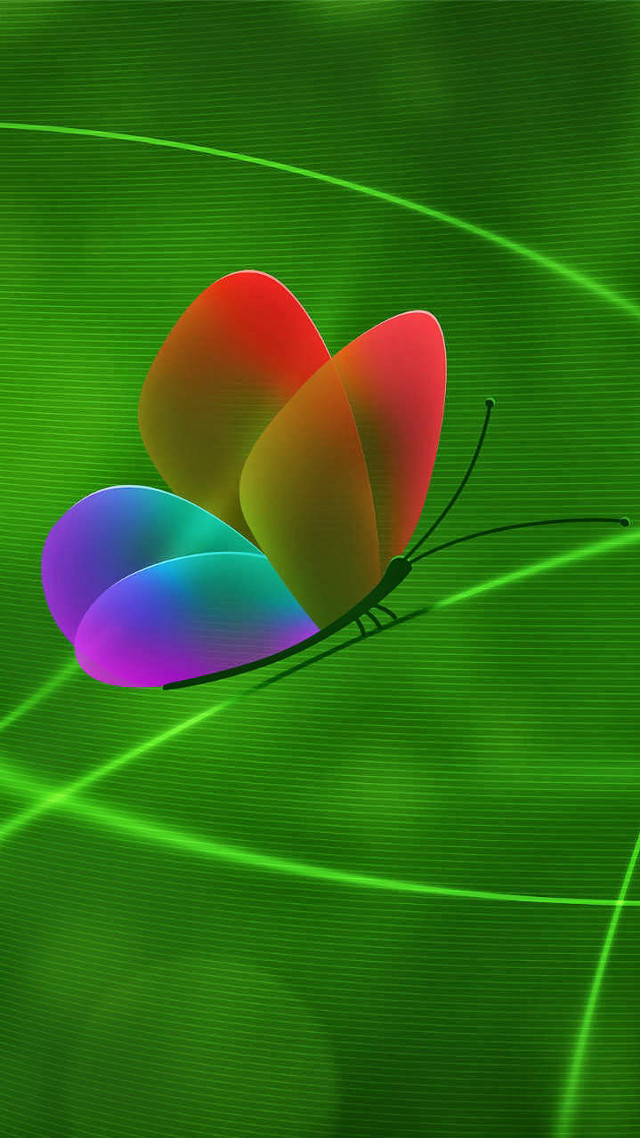 Colorful butterfly green background holography free wallpaper - medium preview image