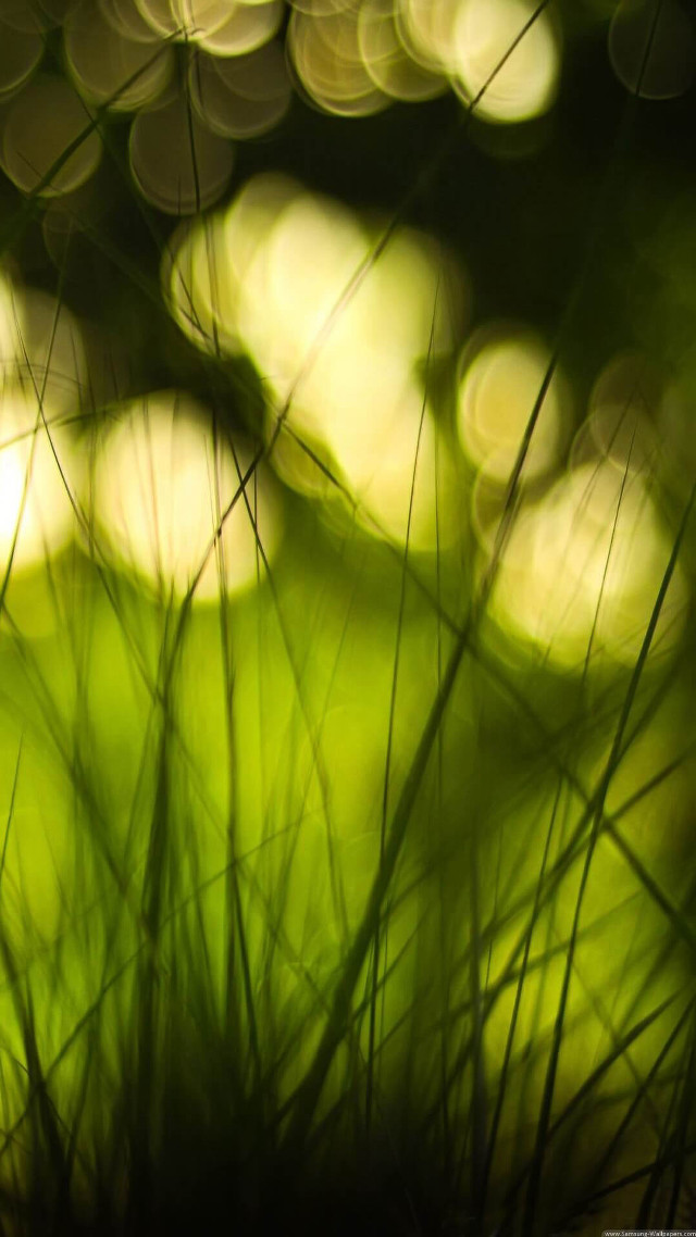Blurry grass green background light free wallpaper - medium preview image