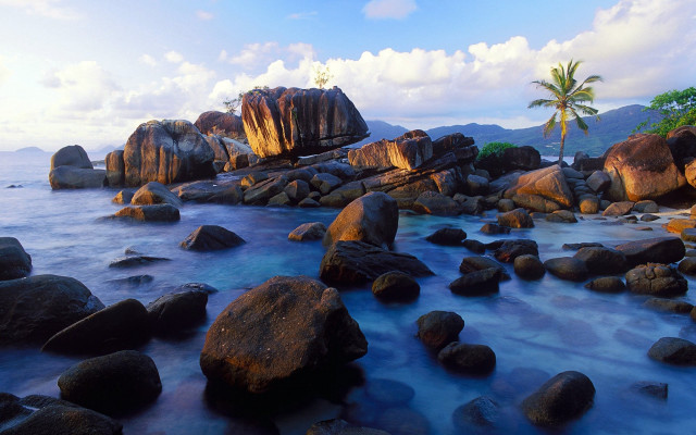 Rocky beach palm shore blue free wallpaper - medium preview image
