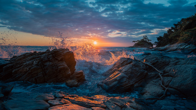 Sunset rocky beach waves tree free wallpaper - medium preview image