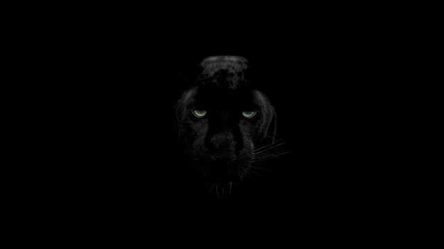 Black panther green eyes dark #2 free wallpaper - medium preview image