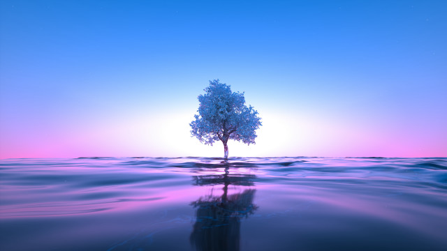 Lone tree reflection sunset horizon free wallpaper - medium preview image