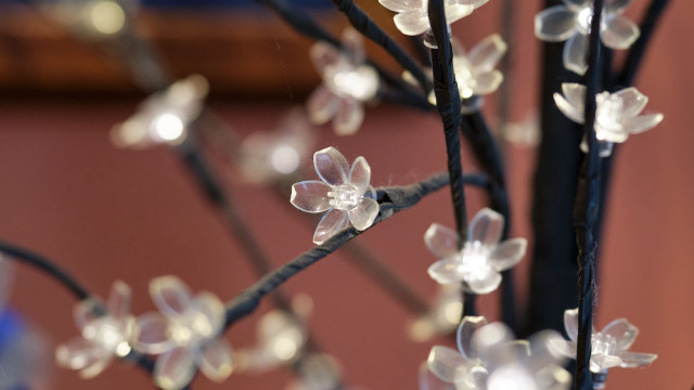 White flower branch bokeh macro free wallpaper - medium preview image