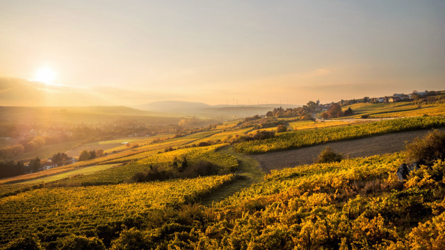 Sunset rural countryside road fields free wallpaper - medium preview image