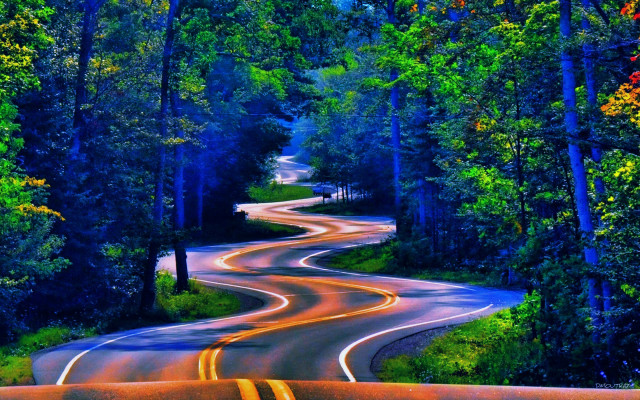 Psychedelic surrealist road trees bushes free wallpaper - medium preview image