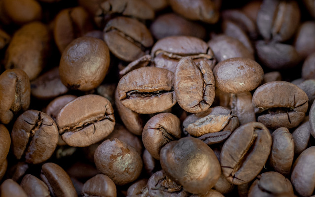 Coffee beans pile hyperrealism shallow free wallpaper - medium preview image