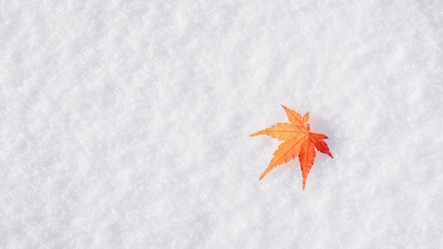Leaf snow autumn jigsaw winter free wallpaper - medium preview image