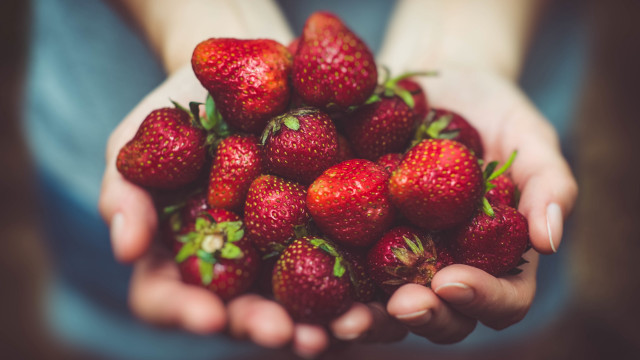 Strawberry hands blurry background food free wallpaper - medium preview image