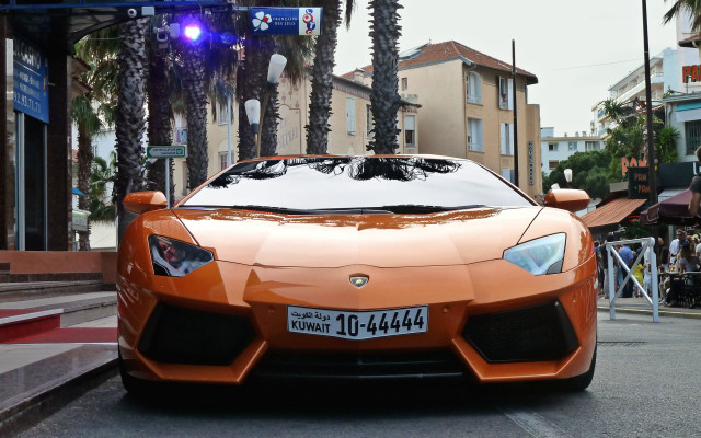 Orange sports car palm trees #4 free wallpaper - medium preview image