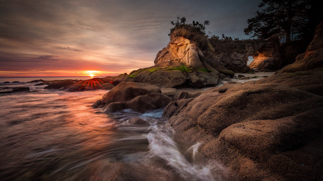 Rocky beach sunset cliff tree free wallpaper - medium preview image