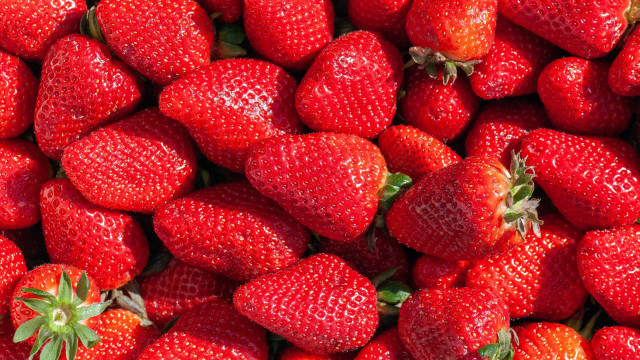 Strawberries closeup food flower red free wallpaper - medium preview image