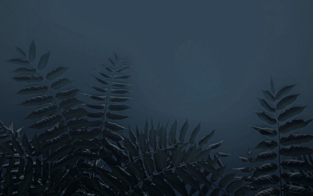 Dark blue leaves bamboo forest free wallpaper - medium preview image