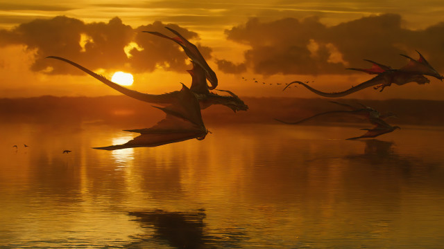Birds flying over lake sunset free wallpaper - medium preview image
