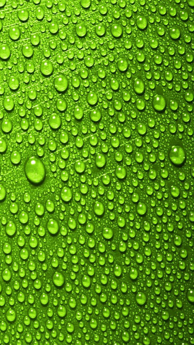 Green background water drops photo free wallpaper - medium preview image