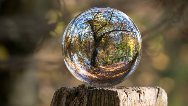 Glassball woods reflection magic realist free wallpaper - medium preview image