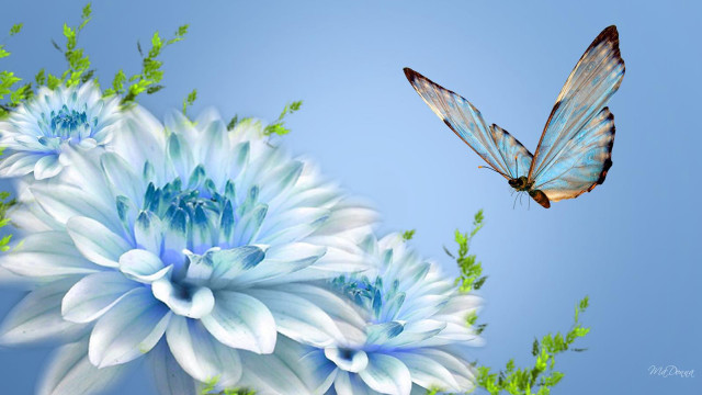 Butterfly flying blue flower green free wallpaper - medium preview image