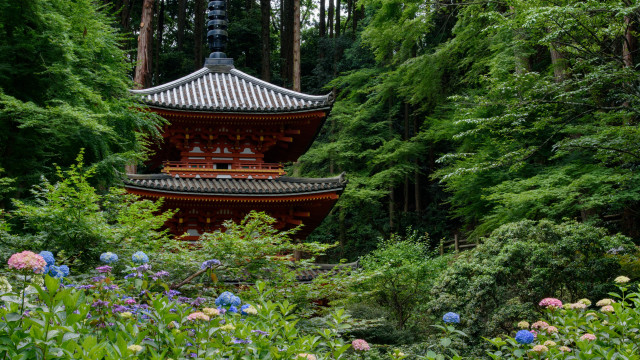 Pagoda forest flower path tilt free wallpaper - medium preview image
