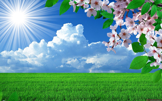 Field flowers sun clouds grass free wallpaper - medium preview image