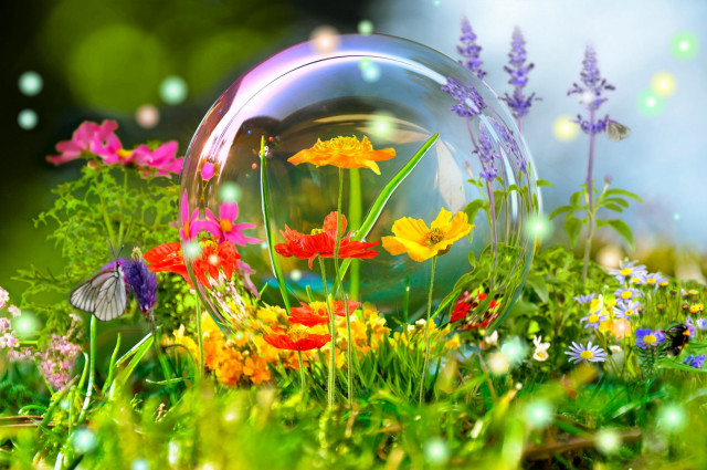 Bubble flowers grass butterfly flying free wallpaper - medium preview image