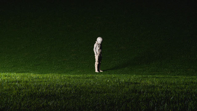 Person grass light head forest free wallpaper - medium preview image