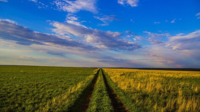 Field clouds horizon grass sunset free wallpaper - medium preview image