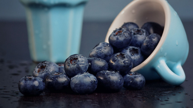 Blue cup blueberries water ice free wallpaper - medium preview image