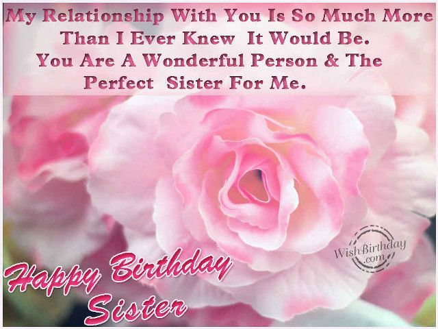 Pink rose happy birthday message free wallpaper - medium preview image