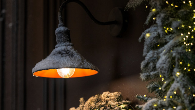 Light wall tree snow christmas free wallpaper - medium preview image
