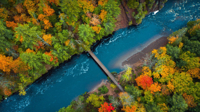 River bridge autumn leaves forest free wallpaper - medium preview image