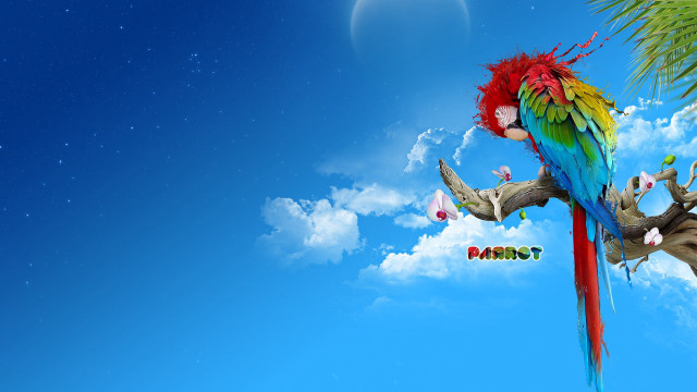 Colorful parrot palm tree blue free wallpaper - medium preview image